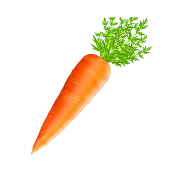 Морковь вектор