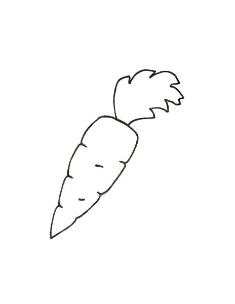 Морковь без ботвы