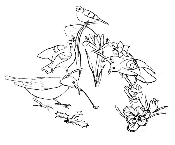 Рисование весенних птиц