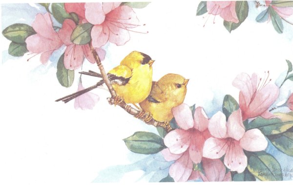 Художница Lucy Grossmith