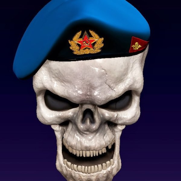 Логотип десантников