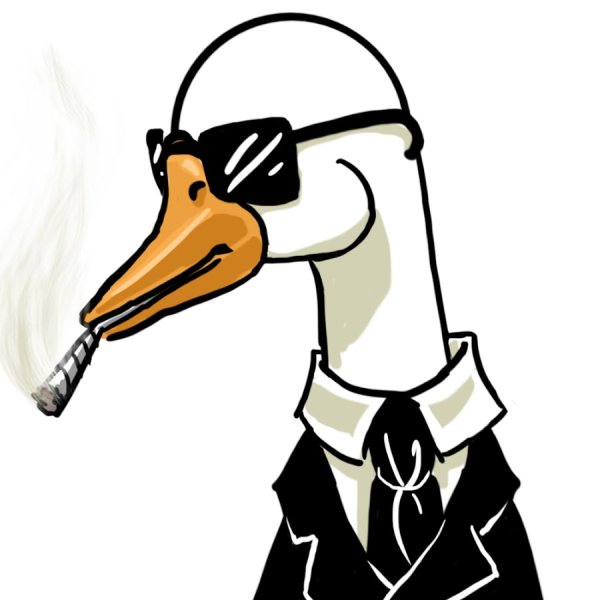 Крутые утки