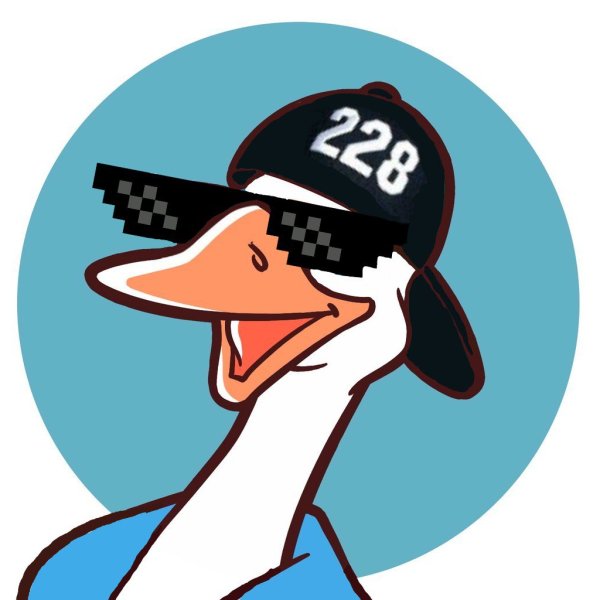 Гусь в очках