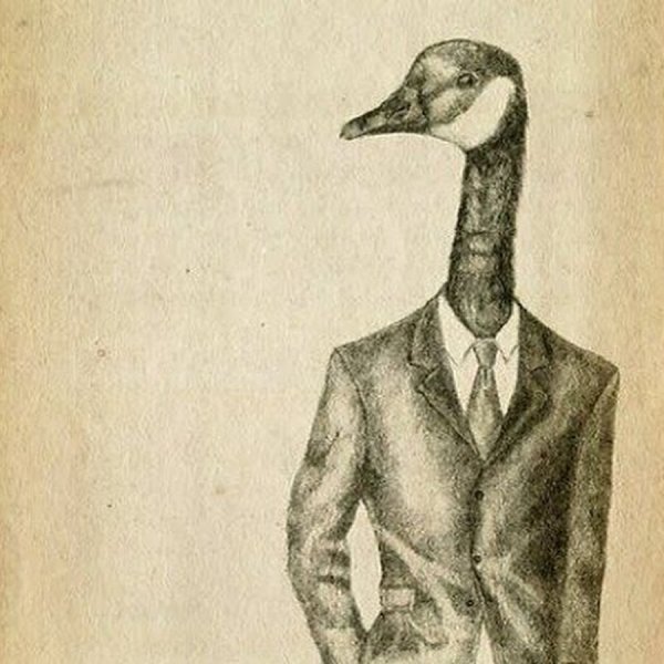 Утка в смокинге