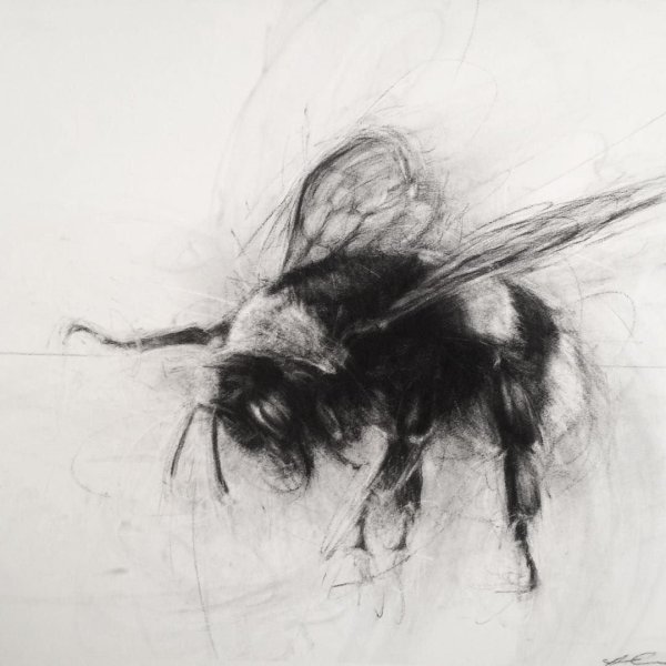 Картины нарисованные углем