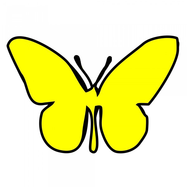 Бабочка желтого цвета
