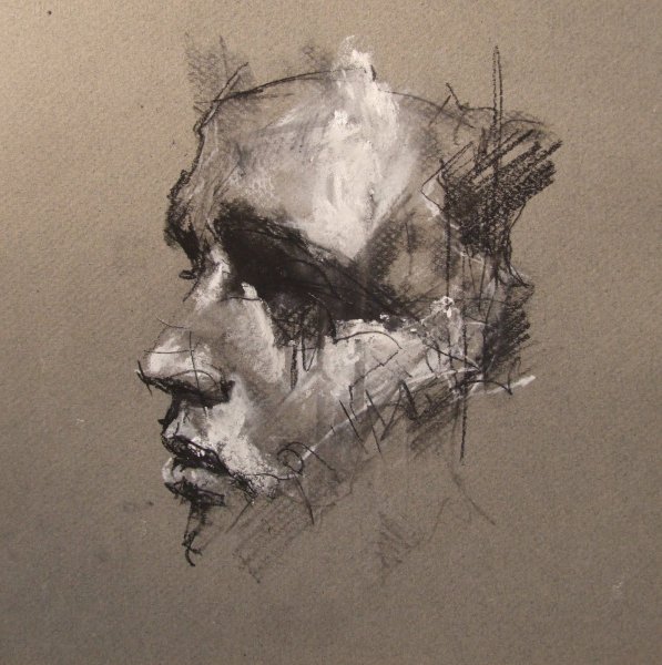 Зарисовки животных углем