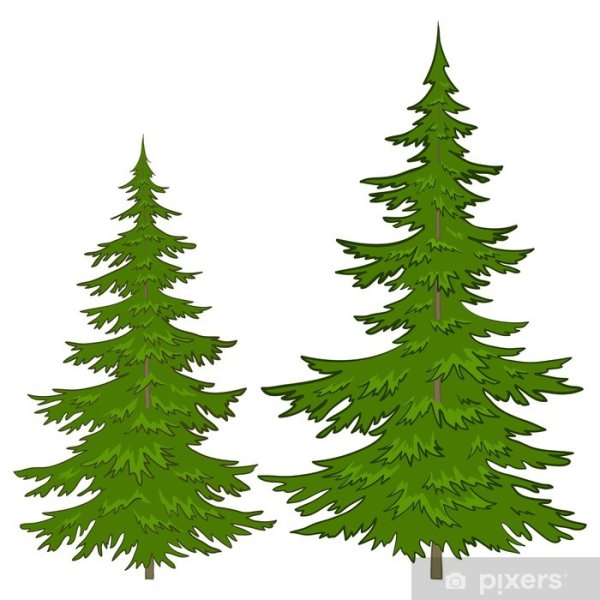 Елочки большие и маленькие