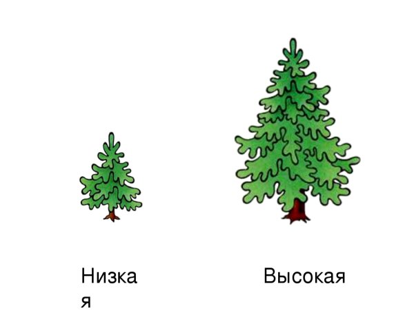 Ель раскраска для детей