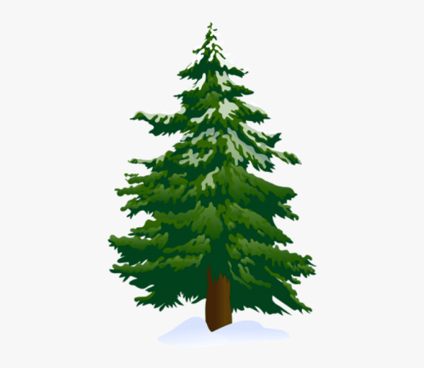 Ель с сосной мультяшный