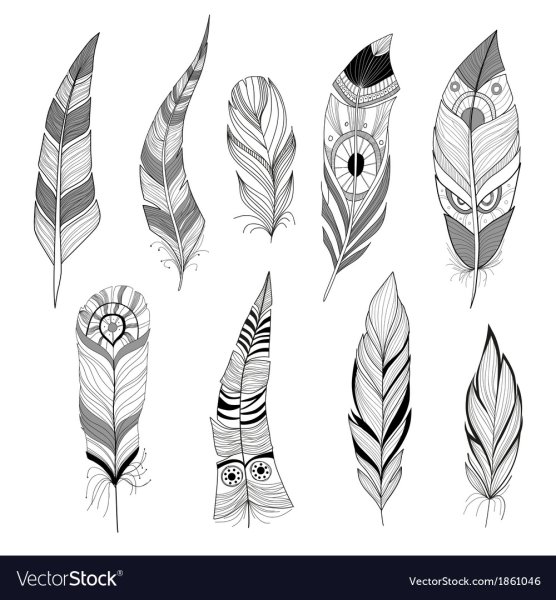 Индейские перья черно белые