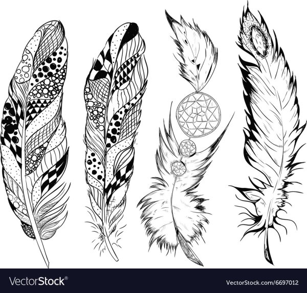 Перо в графике