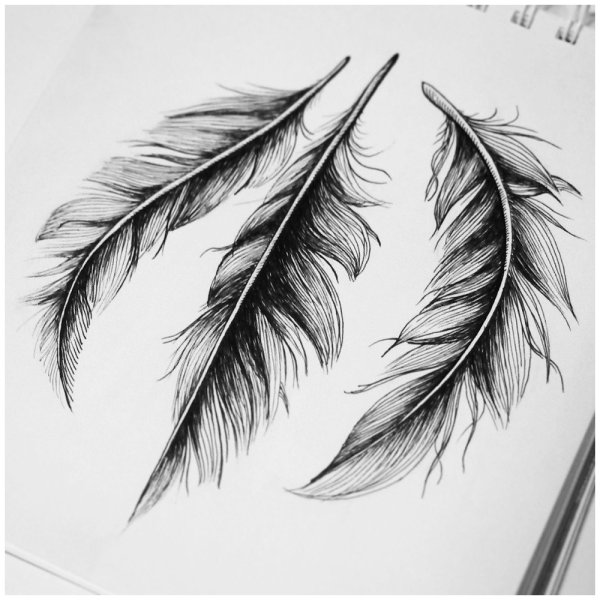 Перышко тату эскиз