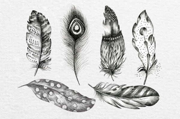 Перо казуальная Графика