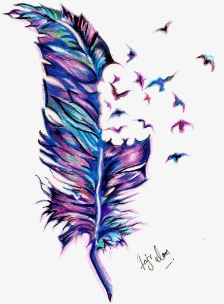 Цветные перья