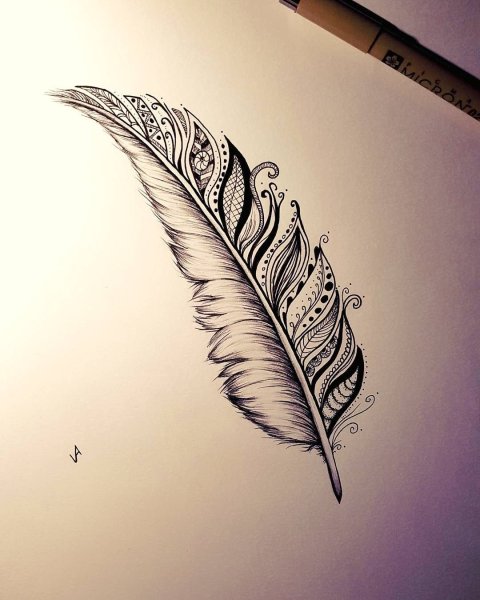 Перо тату эскиз