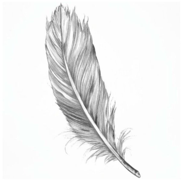 Перо эскиз