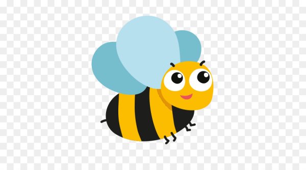 Схематичное изображение пчелы