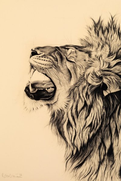 Голова Льва арт