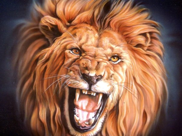 Лев абстракция
