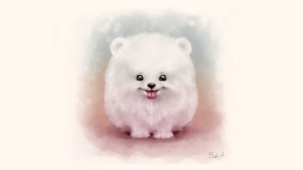 Милые пушистые Шпицы арт