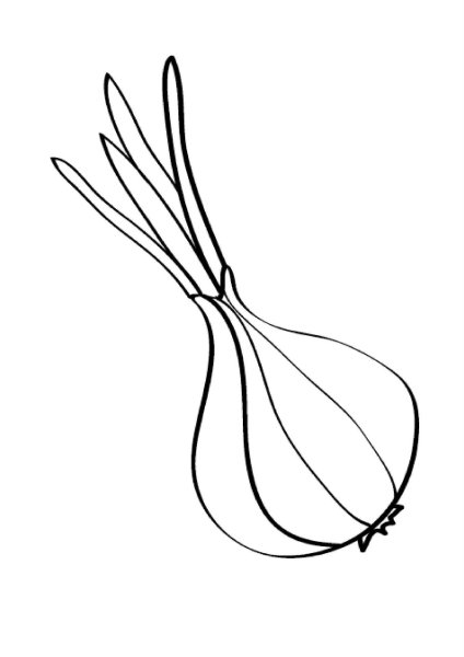 Лук раскраска