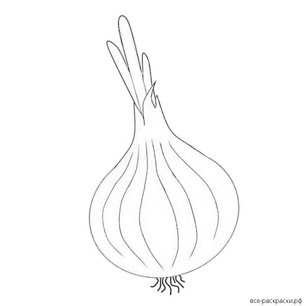 Лук раскраска для детей