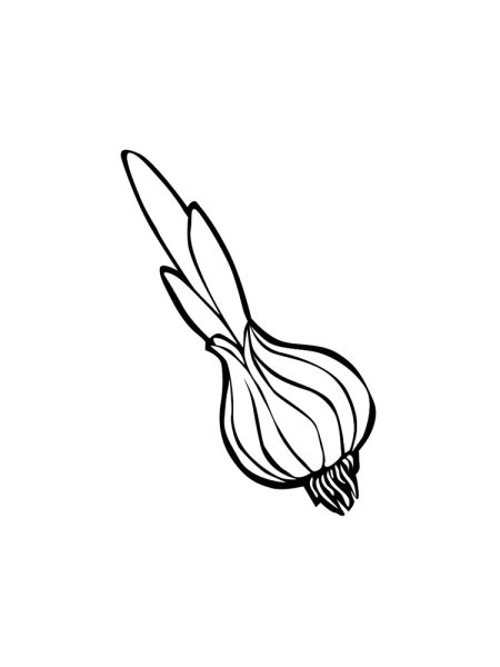 Лук для распечатки