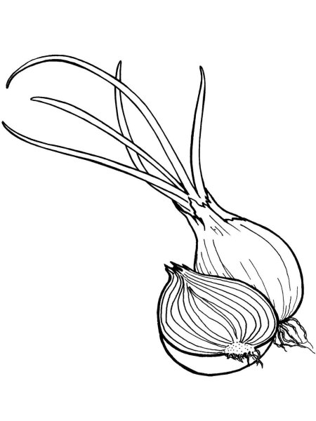 Раскраска. Овощи.