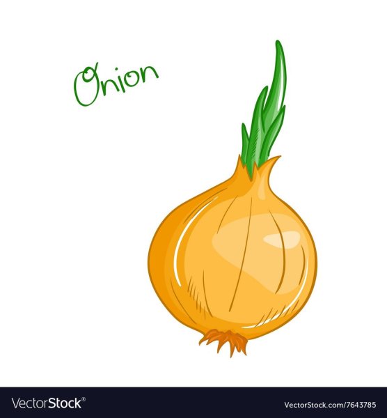 Нарисовать лук репчатый