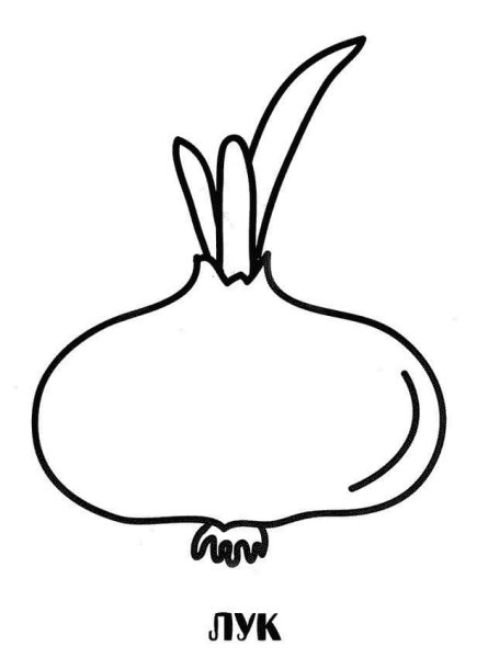 Луковица с перьями