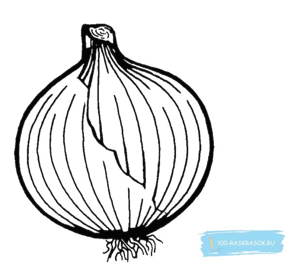 Лук раскраска для детей