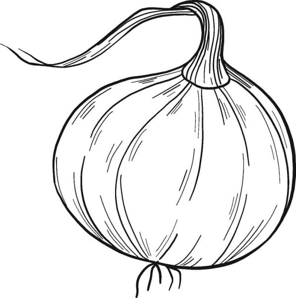 Луковица шаблон