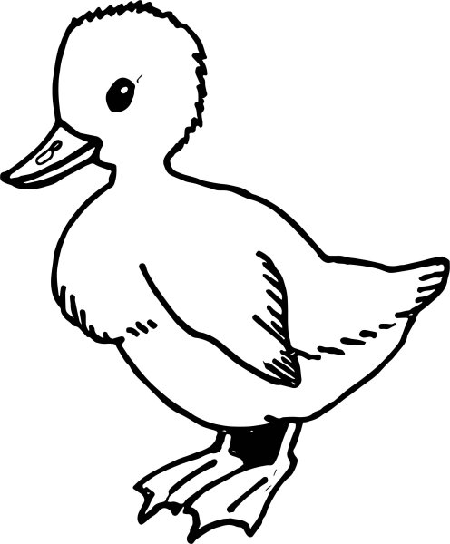 Гусенок раскраска для детей