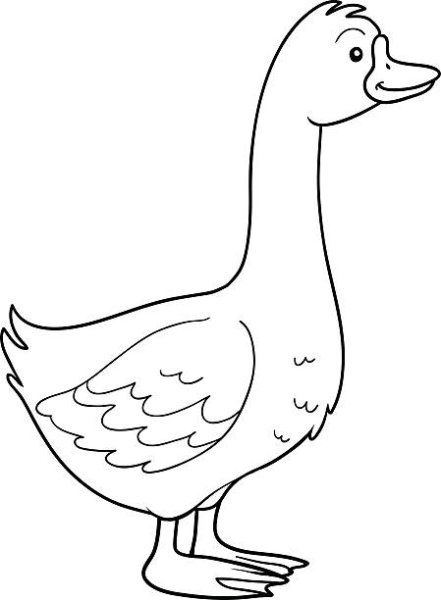 Утенок вектор