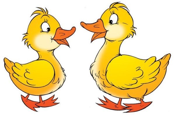 Маленькая утка раскраска