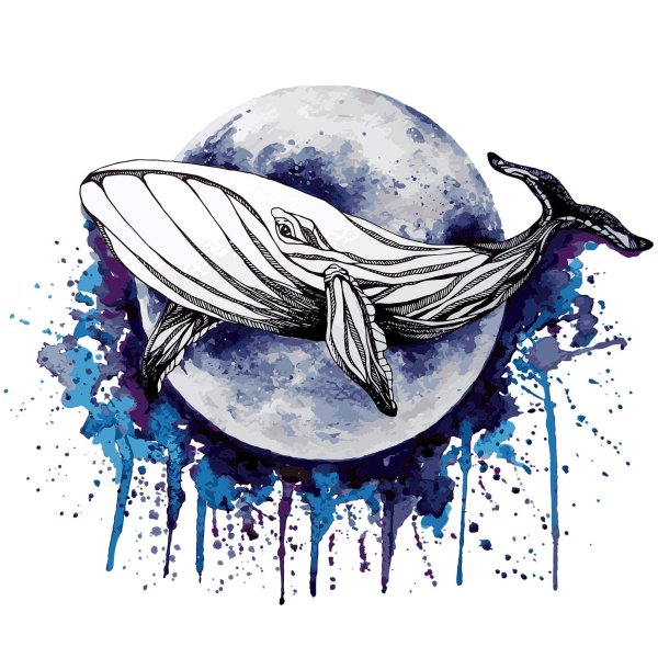 Кит рисунок