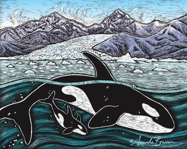 Касатка арты