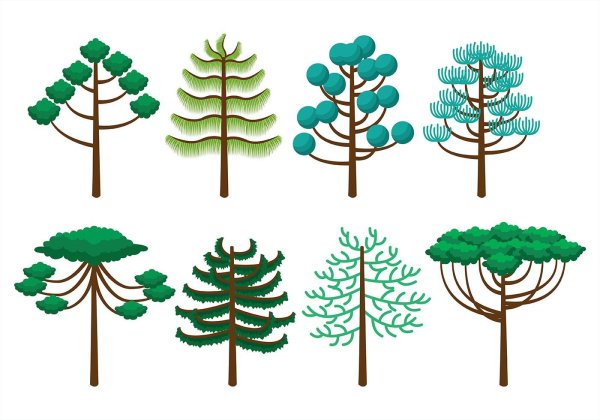 Стилизация хвойных деревьев