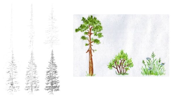 Рисование деревьев и трав зимой