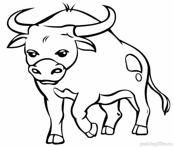 Раскрасить быка