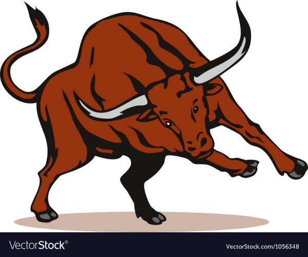 Раскраска корова