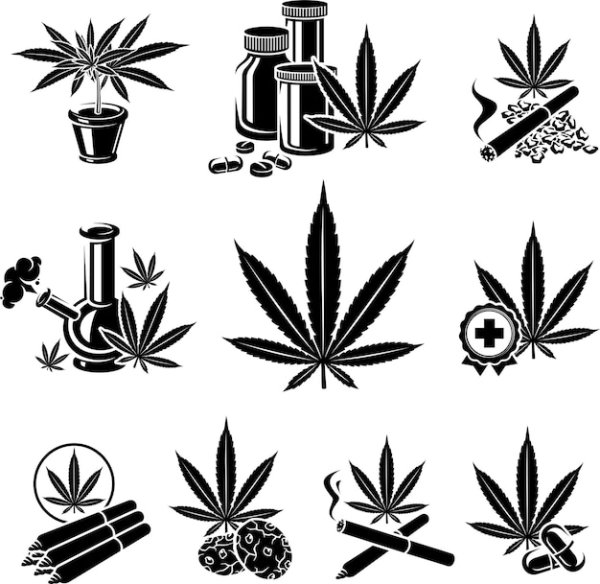 Конопля вектор