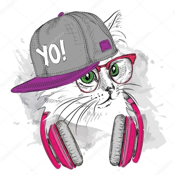 Котик в кепке