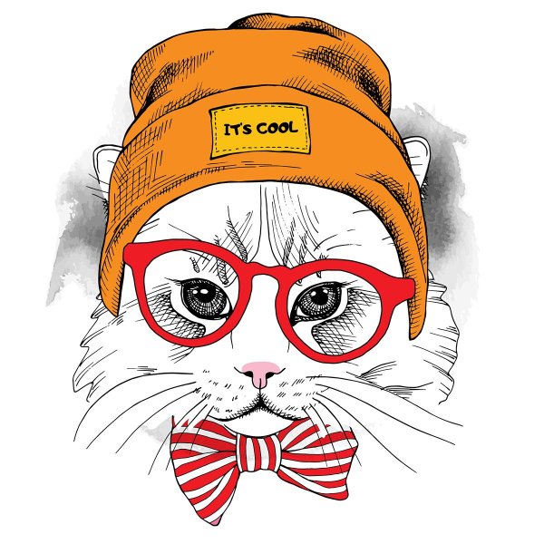 Котик в шапке