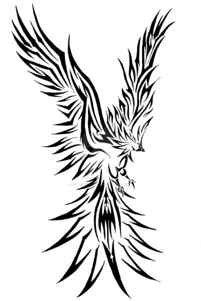 Тату эскизы птицы