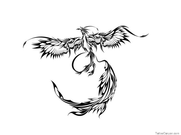 Феникс тату эскиз контур