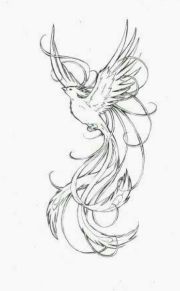 Тату Феникс для девушек эскизы