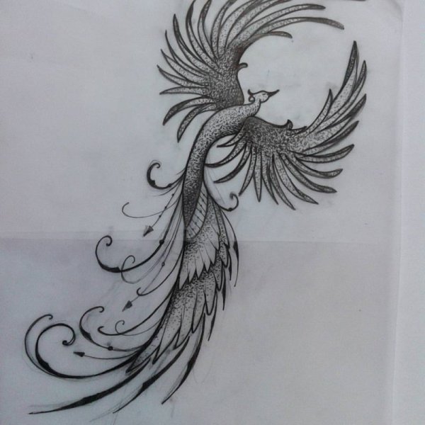 Феникс эскиз