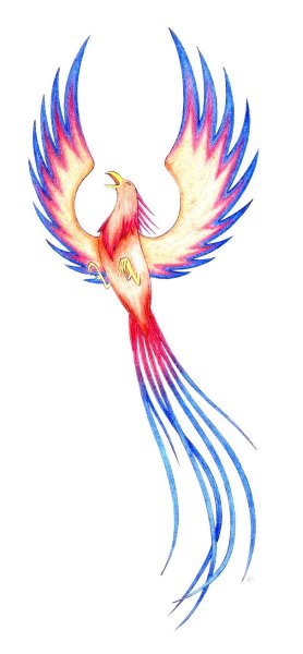 Феникс для срисовки лёгкие